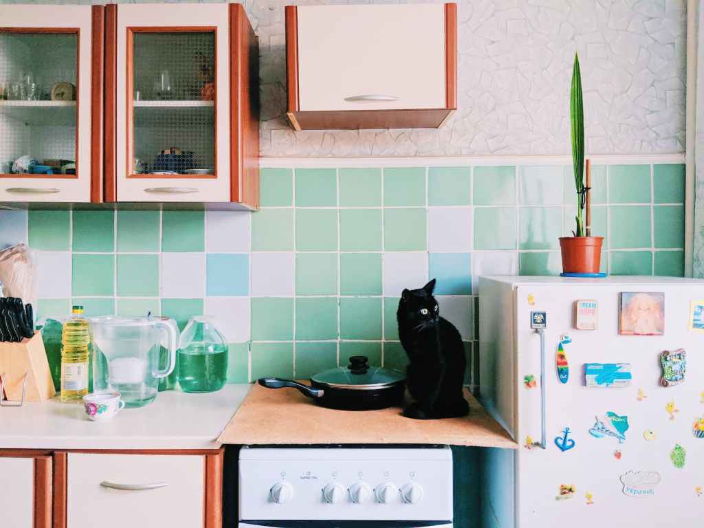 Cat-astrophes in the Kitchen: Cooking with Feline Supervisors
